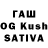 А ПВП СК КРИС Ewa Schust