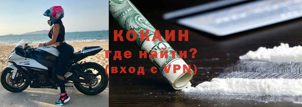трава Ельня