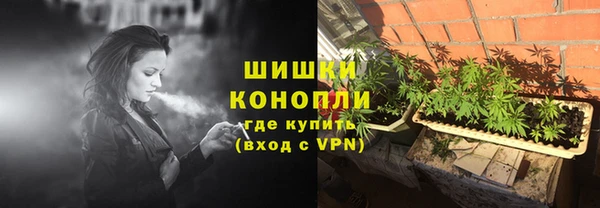 хмурый Елизово