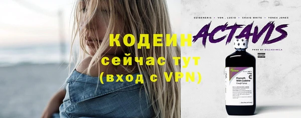 хмурый Елизово
