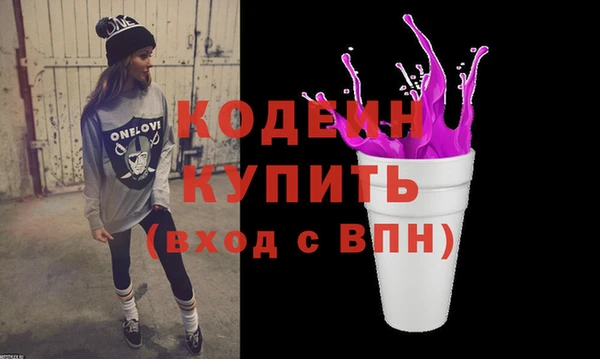 хмурый Елизово