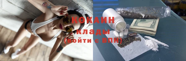 трава Ельня