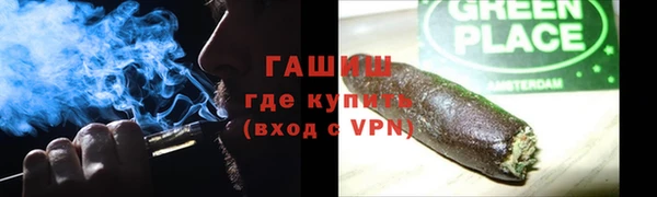 трава Ельня