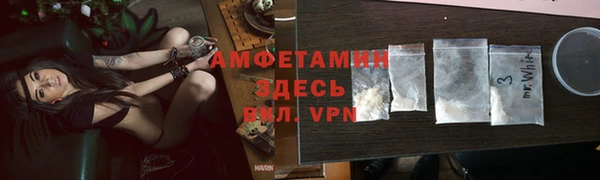 трава Ельня