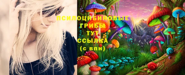 хмурый Елизово