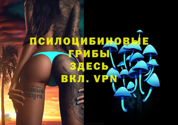 трава Ельня