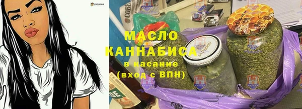 трава Ельня
