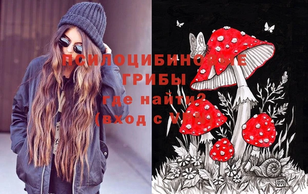 СК Елабуга