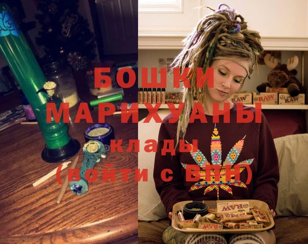 трава Ельня