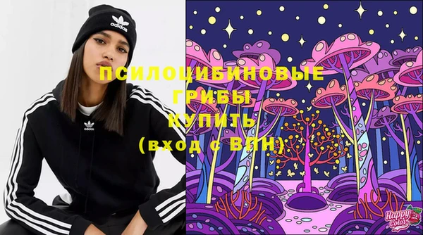 хмурый Елизово
