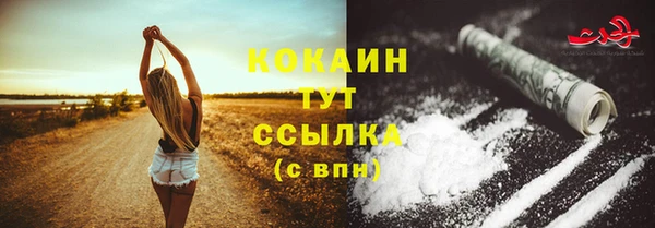 трава Ельня