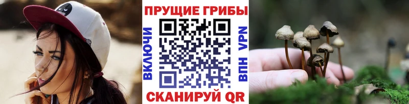 Галлюциногенные грибы прущие грибы  купить закладку  Петров Вал 